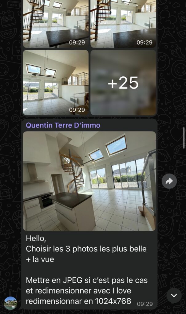 Travail Maison pour pouvoir attirer les acheteurs et faire des visites immobilières